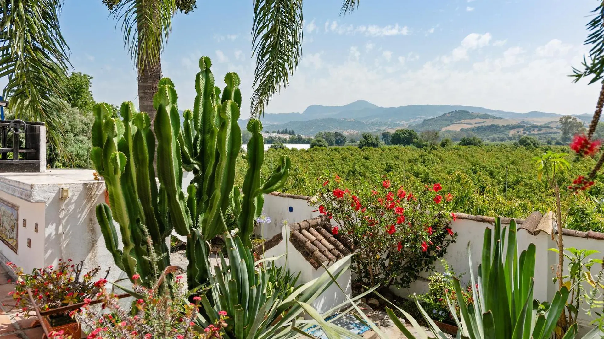 Los 2 Cedros San Pablo Kır Evi